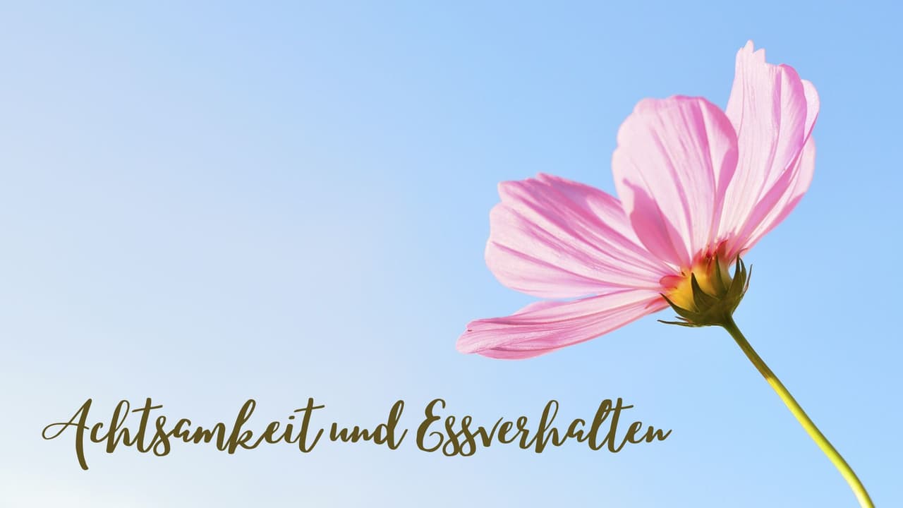 Durch Achtsamkeitstraining zum Intuitiven Essen